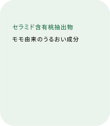 セラミド含有桃抽出物 モモ由来の潤い成分（裏面）